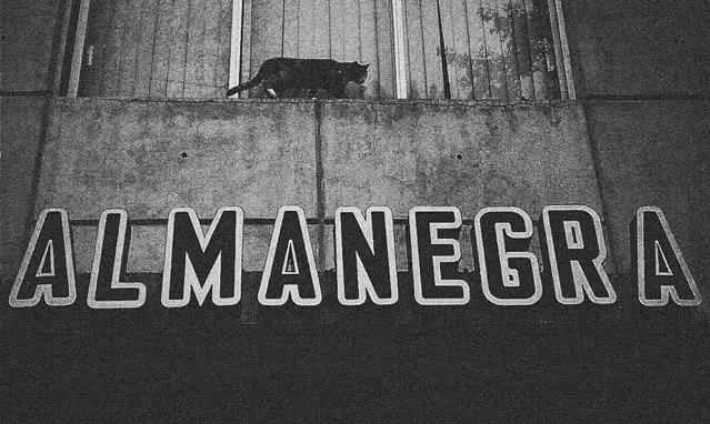 alma negra café y gato negro