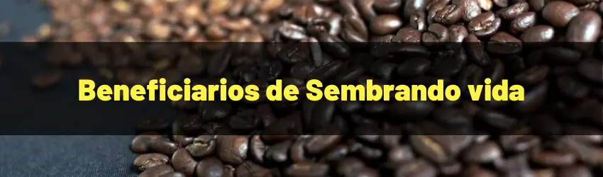 Beneficiarios de Sembrando vida ¿quiénes pueden participar en el programa