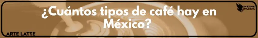 ¿Cuántos tipos de café hay en México