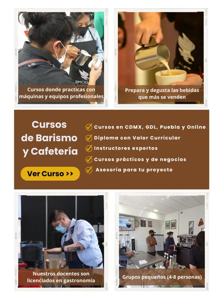 Curso barismo ycafetería