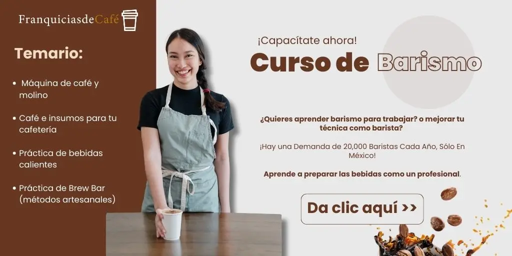 Curso barismo