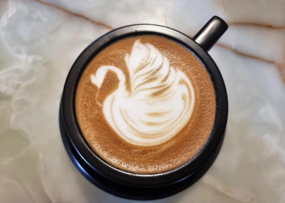 arte latte cisne en cappuccino