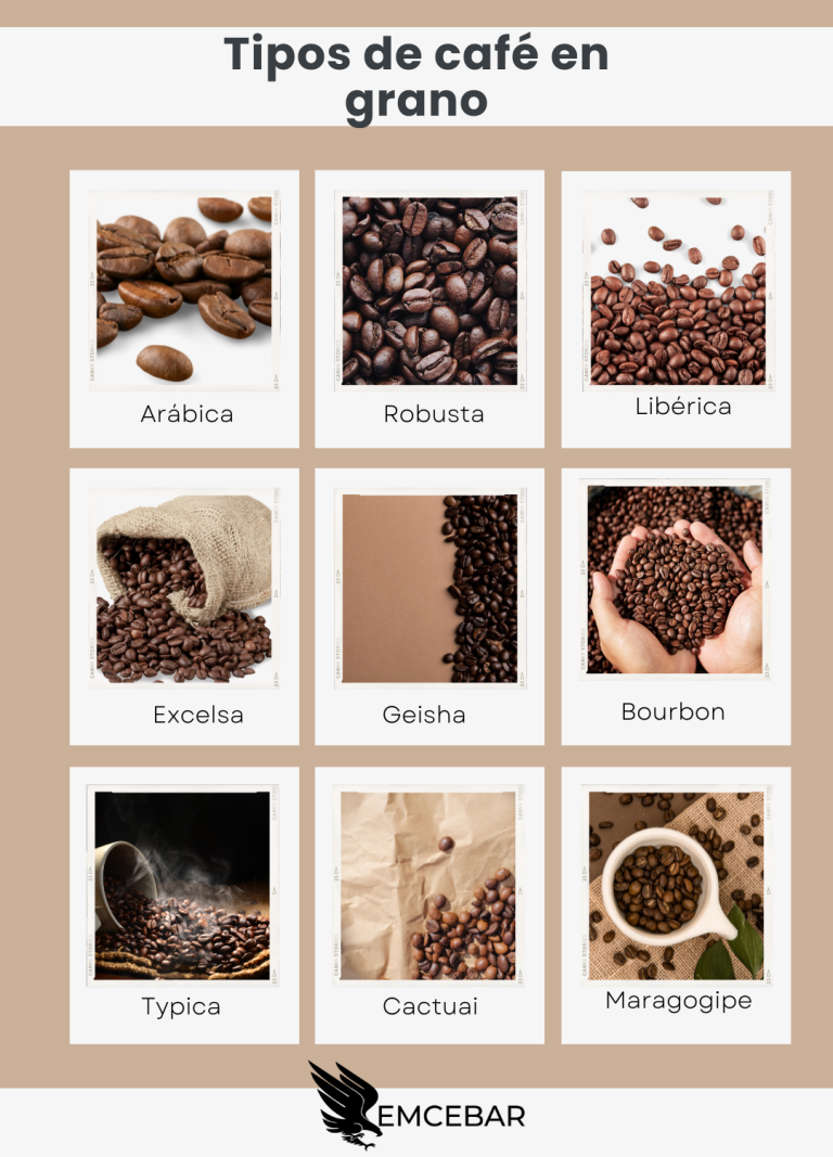 Tipos de café, variedades y características para cafeterías